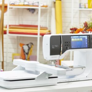 Bernina 790 PRO